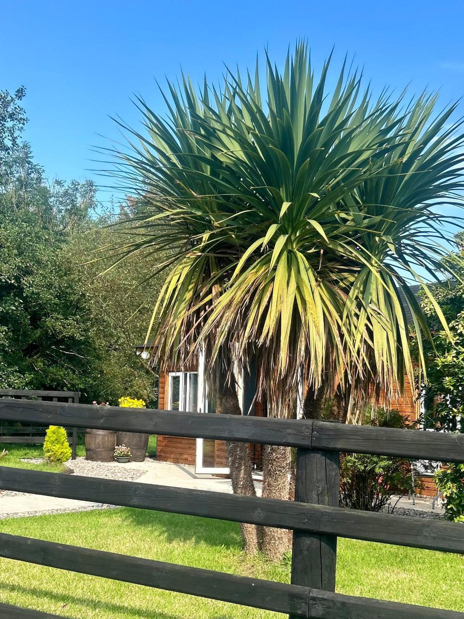 Omagh Villa Sixmilecross Exterior foto